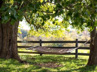 Breathtaking Cottage Rental on 100 Acres on the Shenandoah River, Virginia - 2