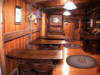 Rustic and Private Family Cabin Rental on Beech Mountain, North Carolina - 6