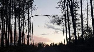 Peaceful Vacation Rental in the Woods near Fredericksburg, Virginia - 0