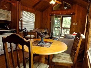 Charming Cabin Rental with Fully Equipped Kitchen near San Antonio, Texas - 8