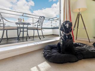 3 Bed in Charlestown 65572 - 2