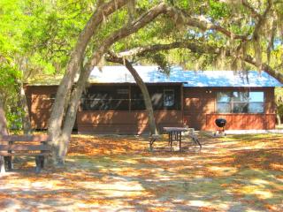 Lakefront Weekend Getaway with a Private Dock near the Ocala National Forest, Florida - 5