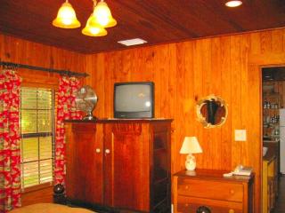 Lakefront Weekend Getaway with a Private Dock near the Ocala National Forest, Florida - 2