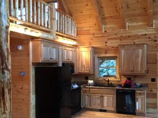 Spectacular Log Cabin Rental near High Bridge Trail State Park in Farmville, Virginia - 2
