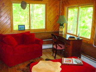 Custom-Built Family Cabin in Manistee National Forest, Michigan - Brethren - 4