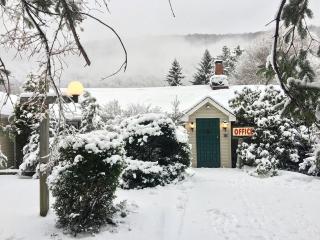 Homey Pet-Friendly Cabin Rental for Groups in the Catskills - 1