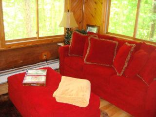 Custom-Built Family Cabin in Manistee National Forest, Michigan - 1
