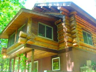 Custom-Built Family Cabin in Manistee National Forest, Michigan - 3