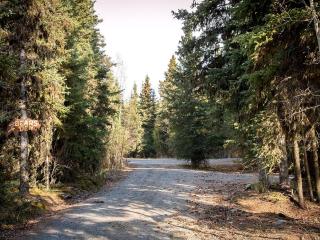 Charming Cabin Rental Surrounded by Chugach National Forest, Alaska - 4