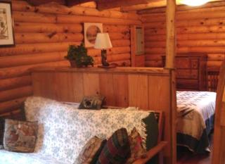 Pet-Friendly Cabin Retreat near Great Smoky Mountain National Park, Tennessee - 5