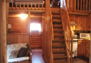 Pet-Friendly Cabin Retreat near Great Smoky Mountain National Park, Tennessee - 4
