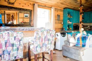 Peaceful Weekend Getaway Surrounded by Apple Orchards near Asheville, North Carolina - 3