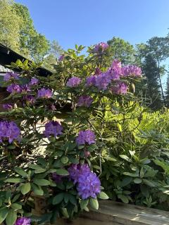 Hike & Ski Hideaway @ Lake Placid, NY - 5