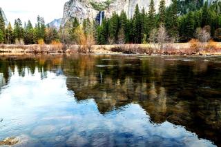 Four-Person Conestoga Wagons for Glamping Getaway near Yosemite National Park, California - 2