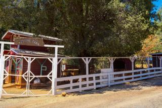 Four-Person Conestoga Wagons for Glamping Getaway near Yosemite National Park, California - 3