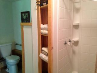 Secluded Cottage Rental in the Woods in Stony Creek, New York - 2