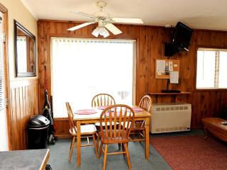 Inviting Summer Vacation Cabin on Clear Lake in Ogemaw County, Michigan - 4