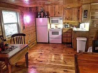 Cozy Cabin in the Blue Ridge Mountains, Perfect for a Weekend Escape from Atlanta - 4