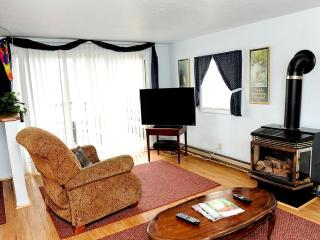 Charming Cabin Rental for the Perfect Summer Getaway on Clear Lake in Michigan - 3