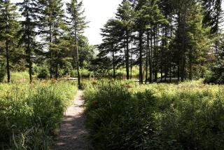 Four-Bedroom Luxury Vacation Rental on 80 Private Acres near Granite Peak, Wisconsin - 3