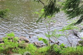 Private Riverfront Safari tent for a Glamping Experience in the Monadnock Region, New Hampshire - 1