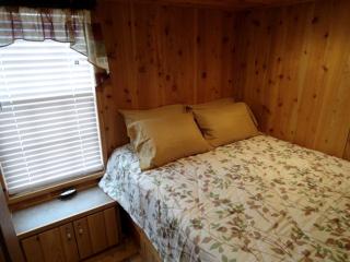 Cozy Cabin Rental near the Custer State Park in South Dakota - 8
