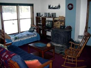 Rustic Cabin Getaway Overlooking a Stunning Golf Course in Saranac Lake, New York - Lake Clear - 2