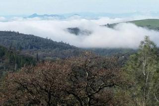 Comfortable Mountain Getaway in Penn Valley, California - 1