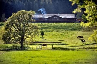 Secluded Cabin Rental on a Ranch in Oregon's Coastal Mountains - 2