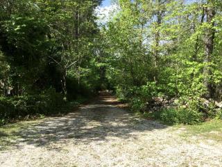 Secluded Cabin Rental near the Spectacular Ozarks of Arkansas - 1