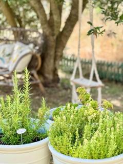 Echoppe rénovée 85m2 - terrasse & Jardin - 6