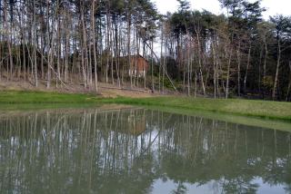 Secluded Log Cabin with a Hot Tub near Bridle Trails in Logan, Ohio - 3