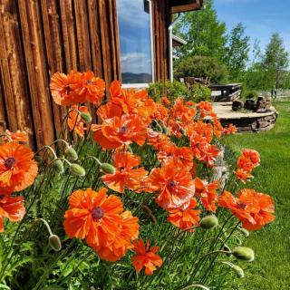 Elegant Vacation Home with Aspen Grove & Mountain Views near Ennis Lake in McAllister, Montana - 2