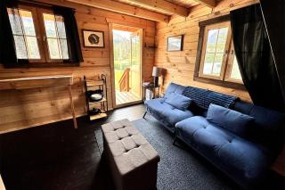 Solar Powered Lakefront Twin Tiny Houses in Cantwell Alaska, Perfect for a Group Getaway to Denali National Park - 4
