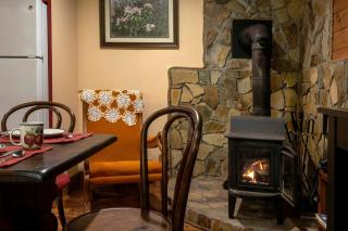 Charming Appalachian Mountain Cabin for Glamping near the Nantahala River - 5