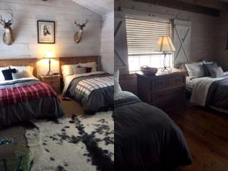 Rustic Riverside Cabin Situated Amid the Mountains of Chromo, Colorado - 1