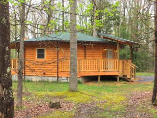 Unique Wooden Yurt Rental for a Vacation near Beckley, West Virginia - 5