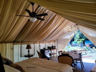 Safari Tent Glamping Destination Near Eagle Creek, Washington - 8