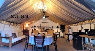 Safari Tent Glamping Destination Near Eagle Creek, Washington - 5