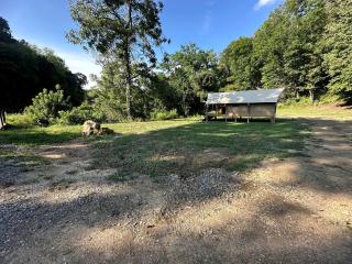 Splendid Safari Tent Sanctuary near Smoky Mountains in Tennessee - 2