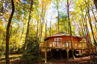 Romantic Yurt Getaway with a Private Hot Tub near Beckley, West Virginia - 0