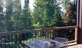 Rustic Cabin Rental with Views of Lake Superior in Minnesota - 4