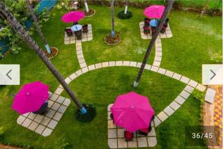 Kasauli View Resort # Parking # lift # Garden # Restaurant # Open Terrace # On Road Location - 5