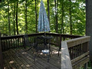 Secluded Camping Cabin near Flambeau River State Forest, Wisconsin - 5