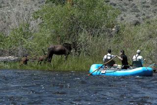 Fishing Getaway at a Riverside Resort near Beaverhead-Deerlodge National Forest, Montana - 3