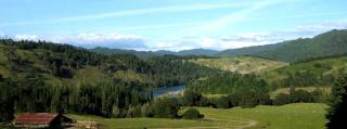 Secluded Cabin Ideal for a Romantic Getaway in the Umpqua River Valley of Oregon - - 5