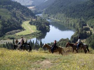 Secluded Cabin Ideal for a Romantic Getaway in the Umpqua River Valley of Oregon - 2