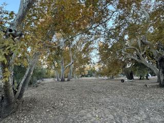 Cozy Creekside Cottage with Deck and Fire Pit in Camp Verde, Arizona - 2