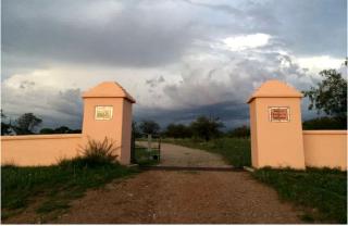 Idyllic Vacation Rental on a Ranch near Coronado National Forest in Arizona - 7