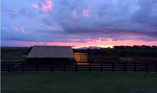Idyllic Vacation Rental on a Ranch near Coronado National Forest in Arizona - 1